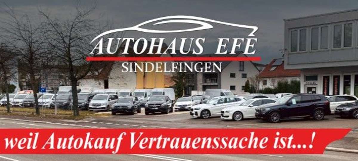 Volkswagen Polo – Bild 12 von 15